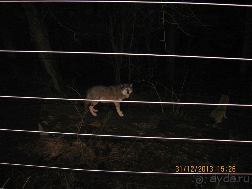 НОВЫЙ ГОД В СТОКГОЛЬМЕ. САМОСТОЯТЕЛЬНО