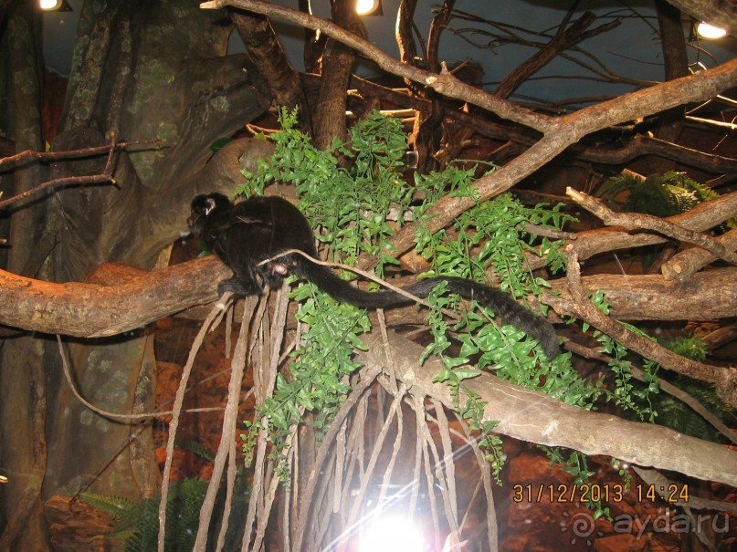 НОВЫЙ ГОД В СТОКГОЛЬМЕ. САМОСТОЯТЕЛЬНО