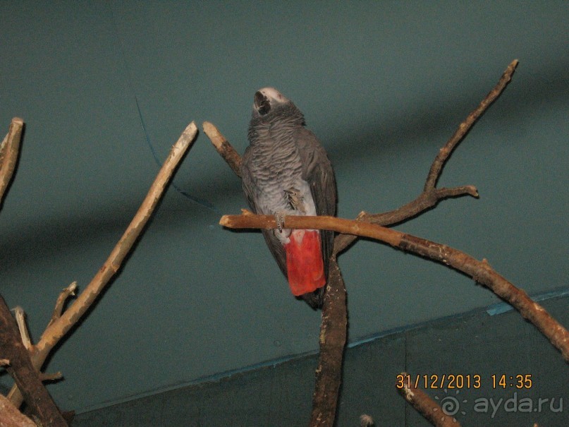 НОВЫЙ ГОД В СТОКГОЛЬМЕ. САМОСТОЯТЕЛЬНО