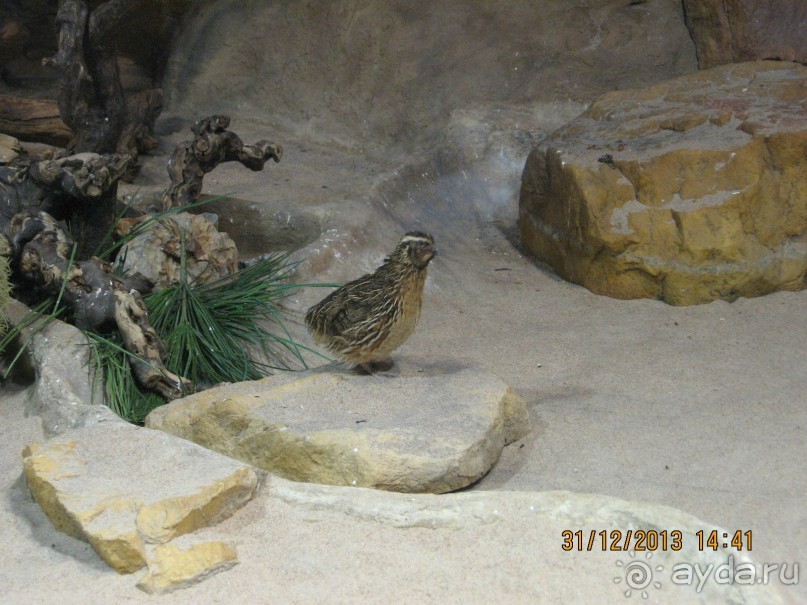 НОВЫЙ ГОД В СТОКГОЛЬМЕ. САМОСТОЯТЕЛЬНО