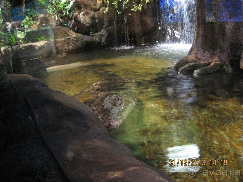 НОВЫЙ ГОД В СТОКГОЛЬМЕ. САМОСТОЯТЕЛЬНО