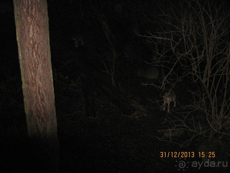 НОВЫЙ ГОД В СТОКГОЛЬМЕ. САМОСТОЯТЕЛЬНО