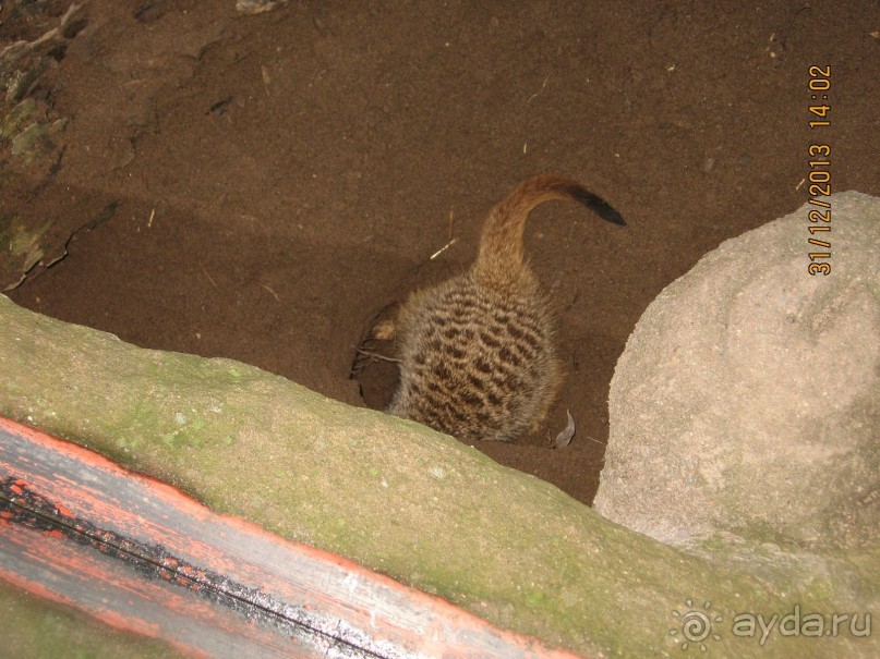 НОВЫЙ ГОД В СТОКГОЛЬМЕ. САМОСТОЯТЕЛЬНО