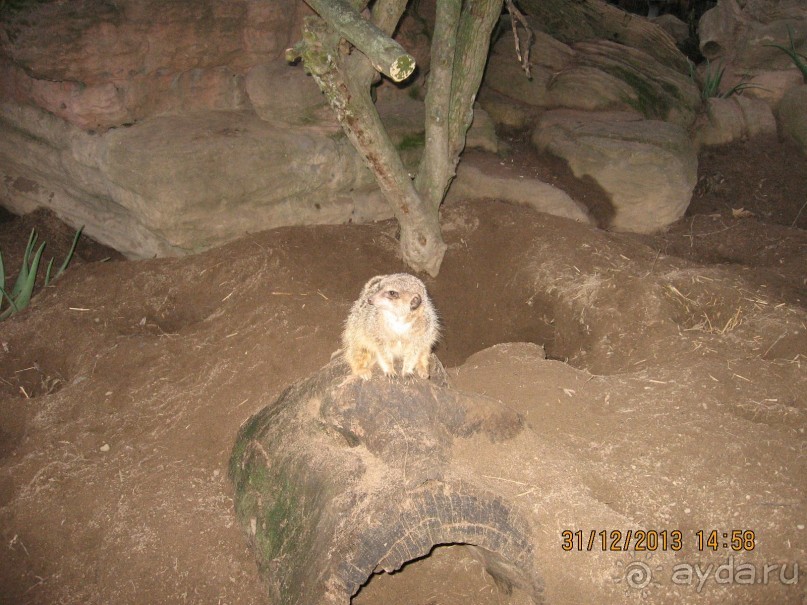 НОВЫЙ ГОД В СТОКГОЛЬМЕ. САМОСТОЯТЕЛЬНО