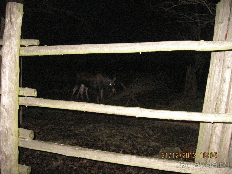 НОВЫЙ ГОД В СТОКГОЛЬМЕ. САМОСТОЯТЕЛЬНО