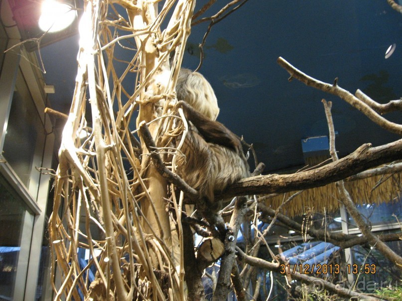 НОВЫЙ ГОД В СТОКГОЛЬМЕ. САМОСТОЯТЕЛЬНО