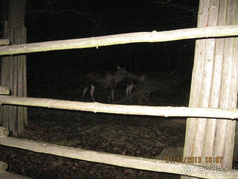 НОВЫЙ ГОД В СТОКГОЛЬМЕ. САМОСТОЯТЕЛЬНО