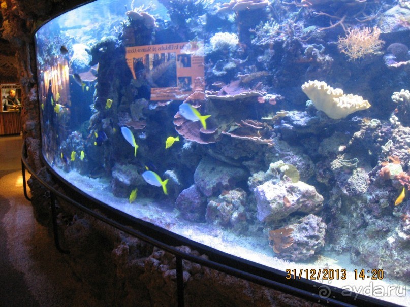 НОВЫЙ ГОД В СТОКГОЛЬМЕ. САМОСТОЯТЕЛЬНО