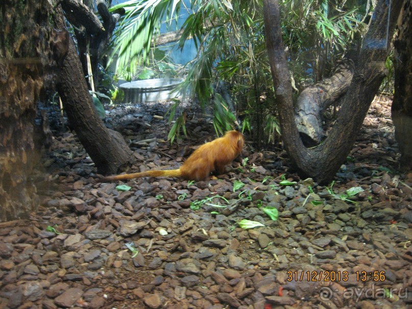 НОВЫЙ ГОД В СТОКГОЛЬМЕ. САМОСТОЯТЕЛЬНО