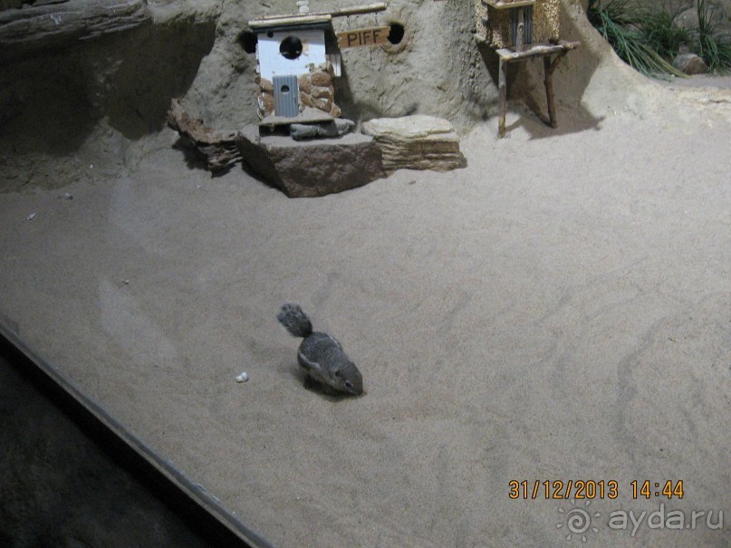 НОВЫЙ ГОД В СТОКГОЛЬМЕ. САМОСТОЯТЕЛЬНО