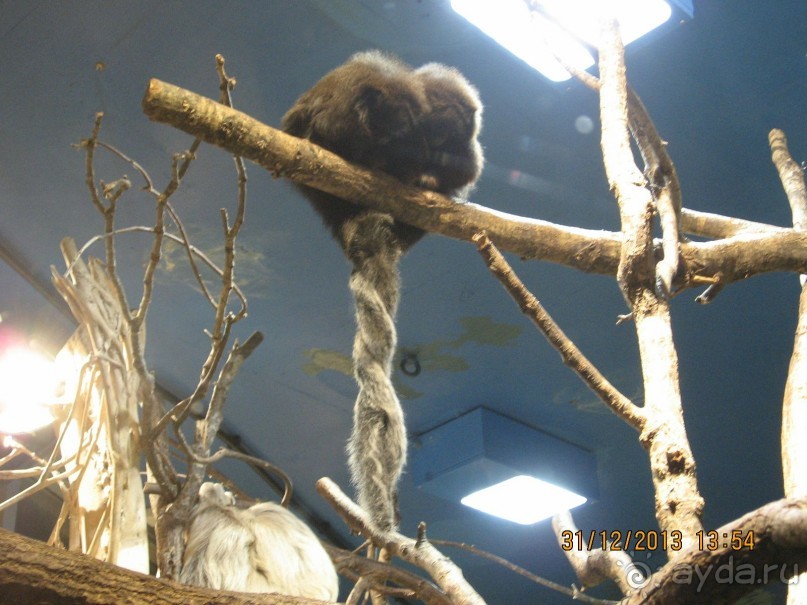 НОВЫЙ ГОД В СТОКГОЛЬМЕ. САМОСТОЯТЕЛЬНО