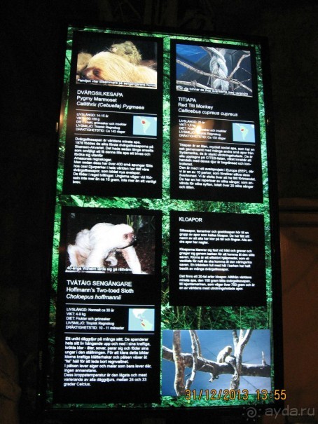 НОВЫЙ ГОД В СТОКГОЛЬМЕ. САМОСТОЯТЕЛЬНО