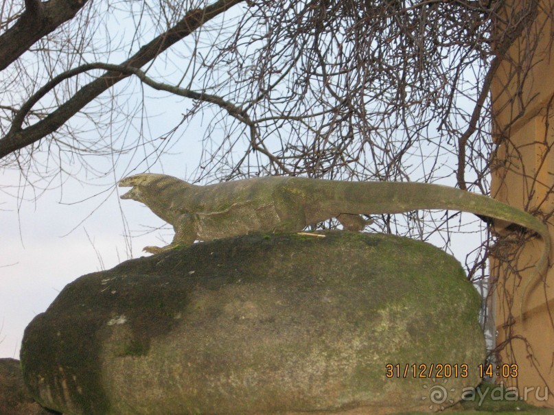НОВЫЙ ГОД В СТОКГОЛЬМЕ. САМОСТОЯТЕЛЬНО