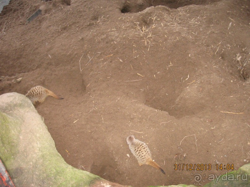 НОВЫЙ ГОД В СТОКГОЛЬМЕ. САМОСТОЯТЕЛЬНО