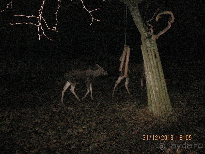 НОВЫЙ ГОД В СТОКГОЛЬМЕ. САМОСТОЯТЕЛЬНО