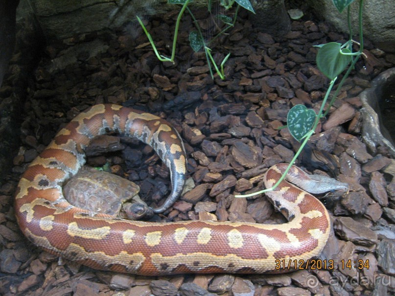 НОВЫЙ ГОД В СТОКГОЛЬМЕ. САМОСТОЯТЕЛЬНО