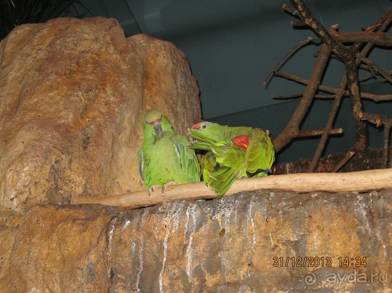 НОВЫЙ ГОД В СТОКГОЛЬМЕ. САМОСТОЯТЕЛЬНО