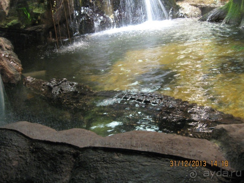 НОВЫЙ ГОД В СТОКГОЛЬМЕ. САМОСТОЯТЕЛЬНО