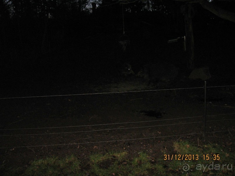 НОВЫЙ ГОД В СТОКГОЛЬМЕ. САМОСТОЯТЕЛЬНО