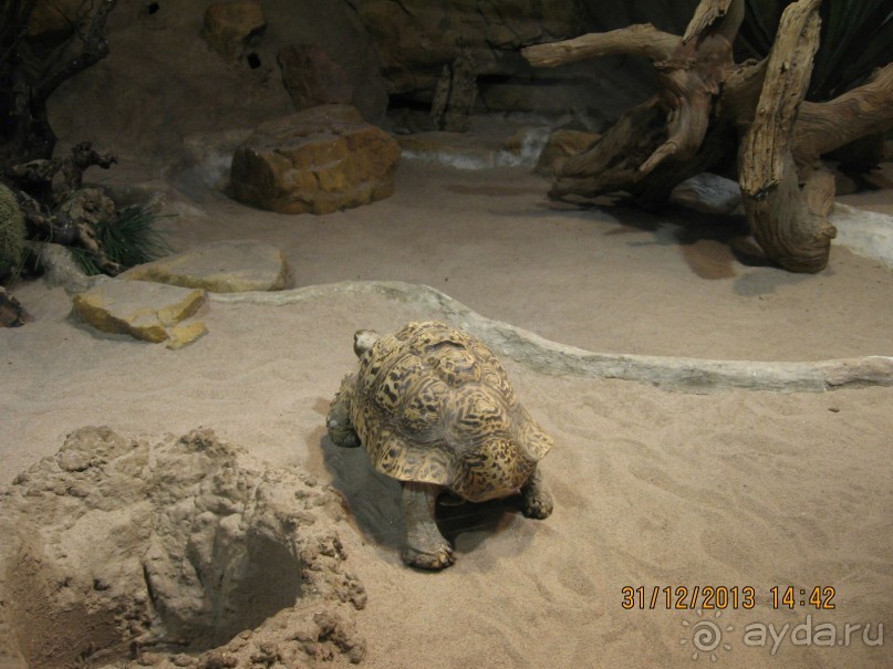 НОВЫЙ ГОД В СТОКГОЛЬМЕ. САМОСТОЯТЕЛЬНО