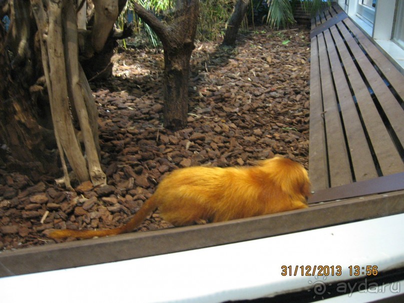 НОВЫЙ ГОД В СТОКГОЛЬМЕ. САМОСТОЯТЕЛЬНО