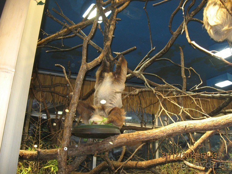 НОВЫЙ ГОД В СТОКГОЛЬМЕ. САМОСТОЯТЕЛЬНО