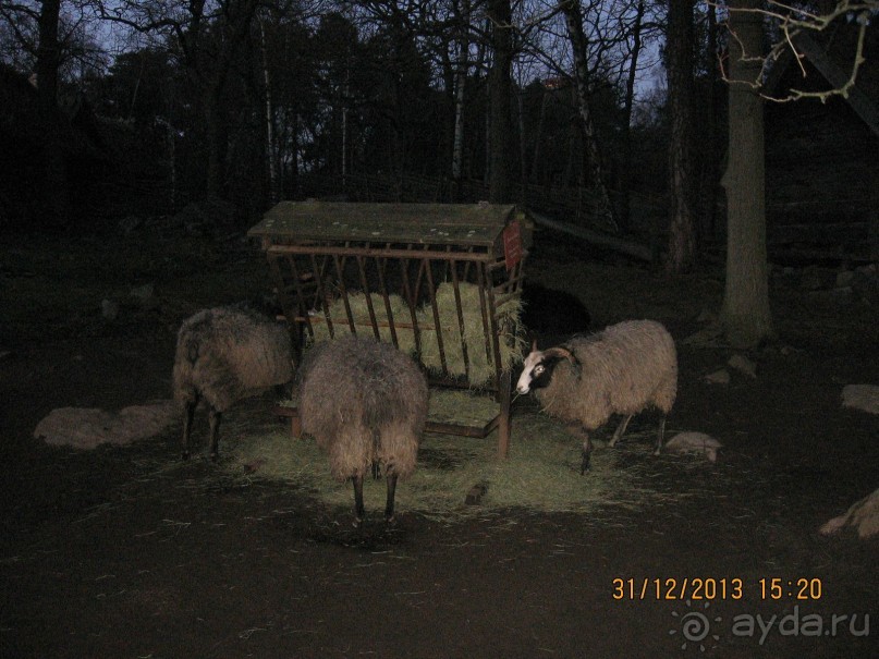 НОВЫЙ ГОД В СТОКГОЛЬМЕ. САМОСТОЯТЕЛЬНО