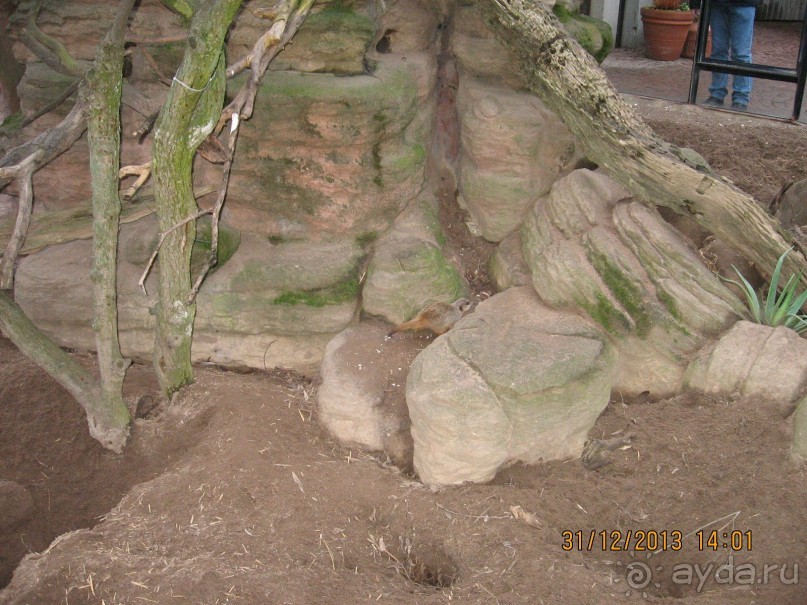 НОВЫЙ ГОД В СТОКГОЛЬМЕ. САМОСТОЯТЕЛЬНО