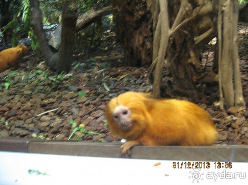 НОВЫЙ ГОД В СТОКГОЛЬМЕ. САМОСТОЯТЕЛЬНО