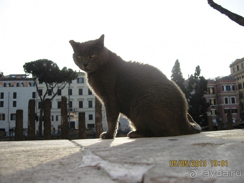 Майская поездка в Рим и Венецию