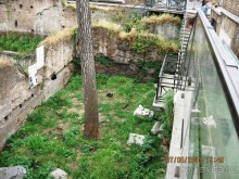 Майская поездка в Рим и Венецию