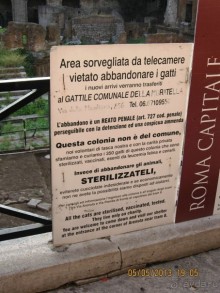 Майская поездка в Рим и Венецию