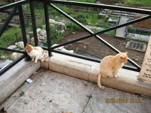 Майская поездка в Рим и Венецию