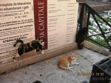 Майская поездка в Рим и Венецию