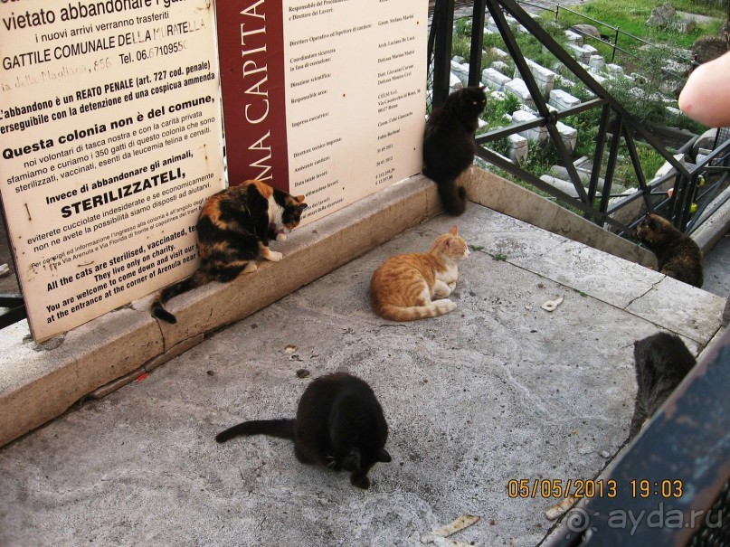 Майская поездка в Рим и Венецию