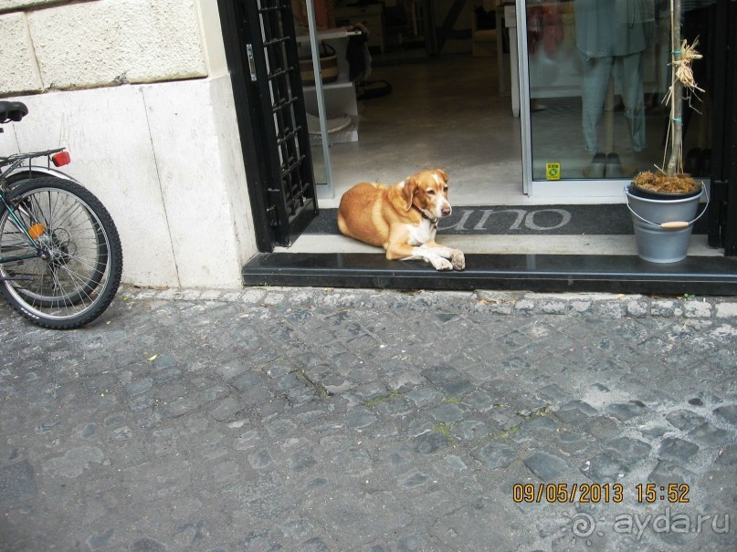 Альбом отзыва "Майская поездка в Рим и Венецию"