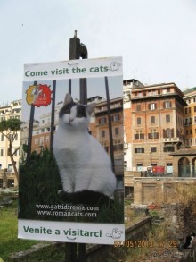 Майская поездка в Рим и Венецию