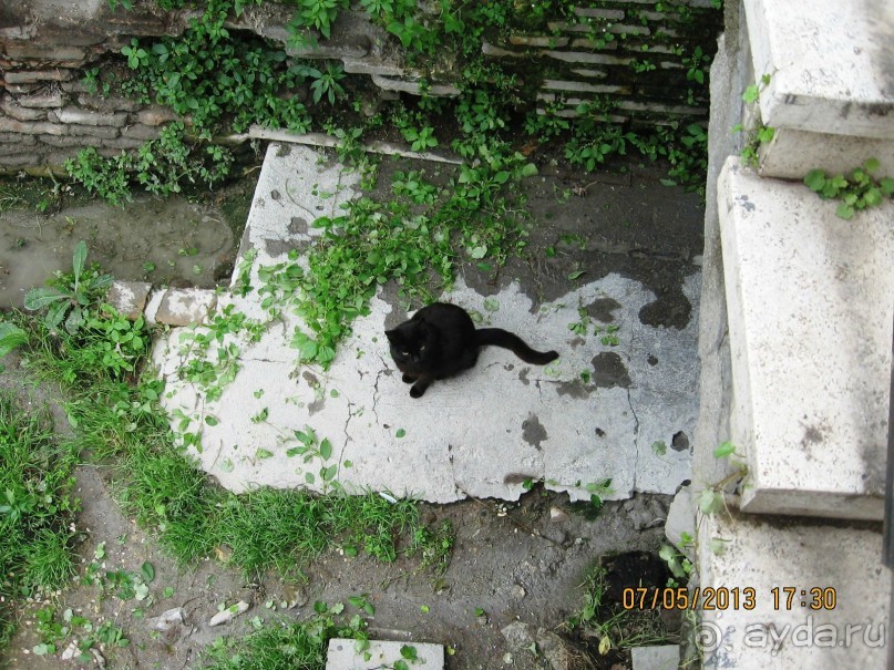 Майская поездка в Рим и Венецию