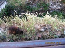 Майская поездка в Рим и Венецию