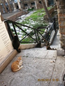 Майская поездка в Рим и Венецию