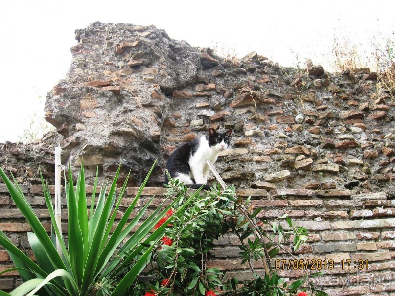 Майская поездка в Рим и Венецию