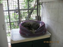 Майская поездка в Рим и Венецию