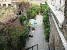 Майская поездка в Рим и Венецию