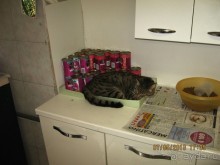 Майская поездка в Рим и Венецию