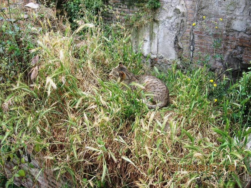 Майская поездка в Рим и Венецию