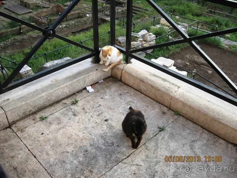 Майская поездка в Рим и Венецию