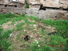 Майская поездка в Рим и Венецию