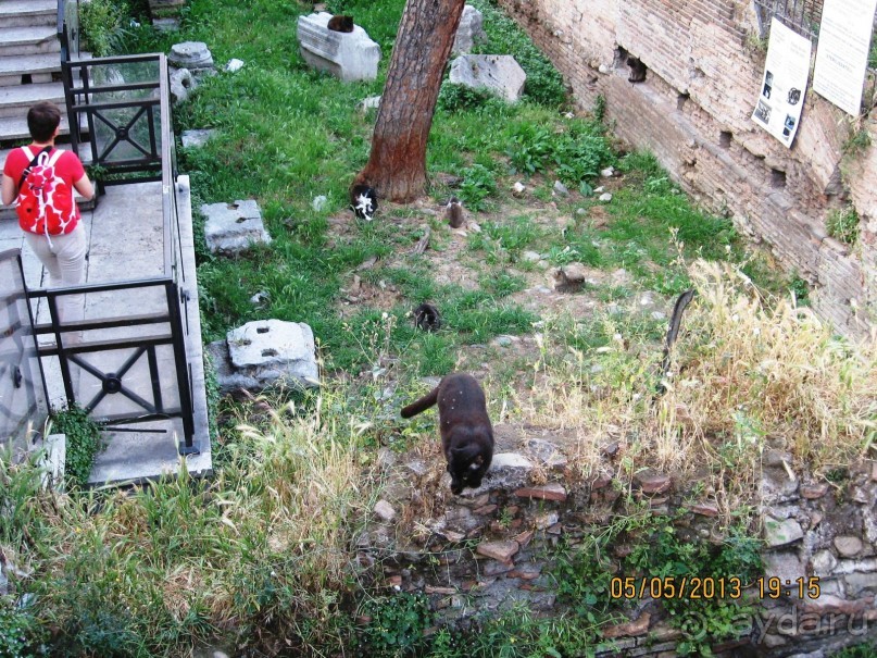 Майская поездка в Рим и Венецию