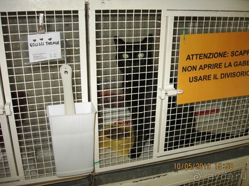 Майская поездка в Рим и Венецию