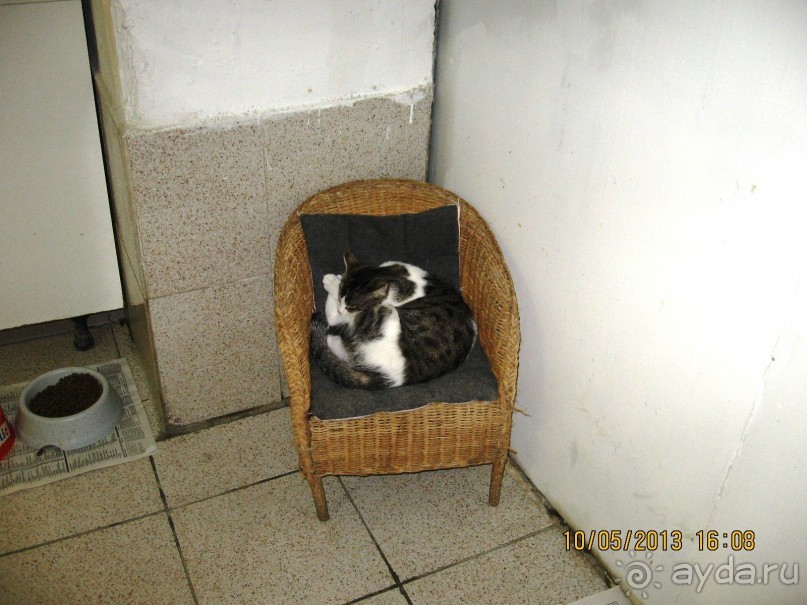 Майская поездка в Рим и Венецию